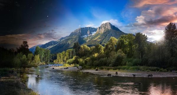  Stephen Wilkes, Grizzly Bears Bella Coola, British Columbia, Canada, Day to Night, 2018.  Courtesy of Robert Klein Gallery, Boston.  