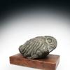 Family | Stone, Wood | Dated: 1973 ﻿| Size: 12 1/4" L x 8 1/8" D x 7 1/2" H