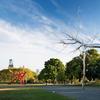 "Symbiosis" (2011, installed 2014) by Roxy Paine acquired by the Association for Public Art with the support of the Daniel W.  Dietrich II Trust, Inc.  Background: "Iroquois" (1983-1999, installed 2007) by Mark di Suvero, acquired by the Association for Public Art with the support of David.  N.  Pincus.  Photograph by James Ewing Photography © 2014, courtesy Association for Public Art.