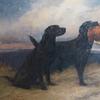 Artist Maud Earl painted works for Queen Victoria and Queen Alexandra.  Her painting by Maud Earl shows the black Labrador Peter of Faskally, father of 32 field trial champions and the original blood line for all present day Chocolate Labradors.