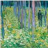 Vincent van Gogh (Dutch, b.1853, d.1890); Undergrowth with Two Figures; 1890; oil on canvas; Bequest of Mary E.  Johnston; 1967.1430.   