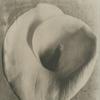 TINA MODOTTI, CALLA LILY AP, 1924-26, PLATINUM PRINT 10 X 8 