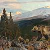 Rungius, Carl 1869-1959 "Grizzly Bear and Cubs" oil 24 x 32