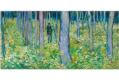 Vincent van Gogh (Dutch, b.1853, d.1890); Undergrowth with Two Figures; 1890; oil on canvas; Bequest of Mary E.  Johnston; 1967.1430.   