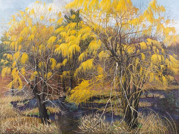 Vernal Pool with Willows, 2003.  Oil on canvas, 36 x 48 inches.