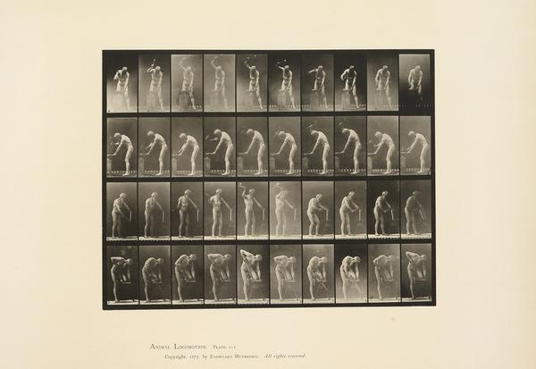 Eadweard Muybridge, 50 plates from Animal Locomotion, collotypes, 1887.  Sold February 14, 2017 for $62,500.