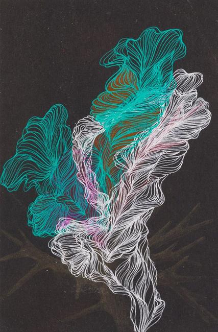 Small Coral Drawing 14, 2018.  Colored pencil and ink, 9 x 6 inches.