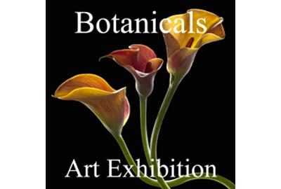 Botanicals Online Art Exhibition