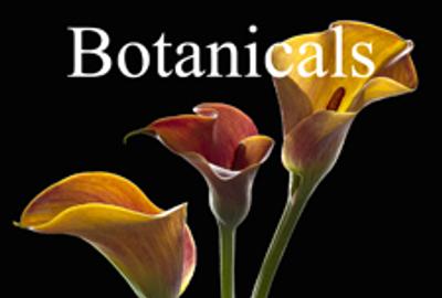 Botanicals Online Art Exhibition