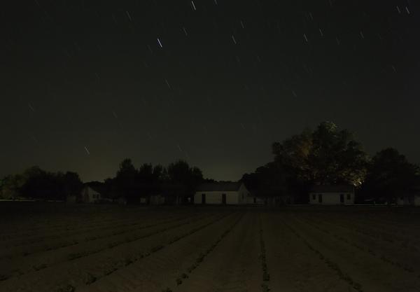 Stopover, Frogmore Plantation, Concordia Parish, Louisiana, 2014