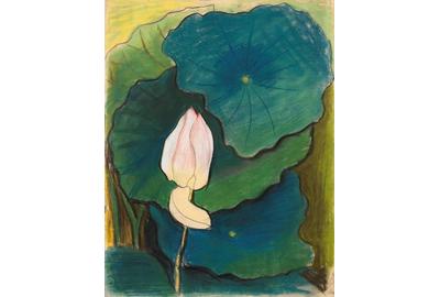 Joseph Stella Water Lily.  n.d.  Pastel on paper.  Gift of the Baker/Pisano Collection 2001.9.231 