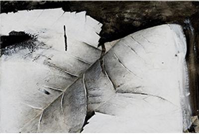 Jay DeFeo Detail, "Snake River Canyon," 1974 10 x 15 inches Acrylic on ragboard Gift of Dixon and Barbara Farley 2014.09.07 © 2019 The Jay DeFeo Foundation / Artists Rights Society (ARS), New York