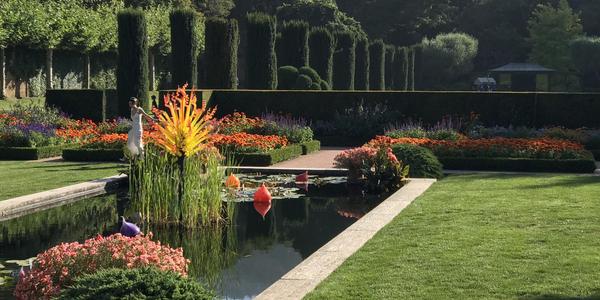 The lily pond at Filoli.