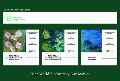 World Biodiversity Day Art Shows by Selva Ozelli at the UN Biodiversity