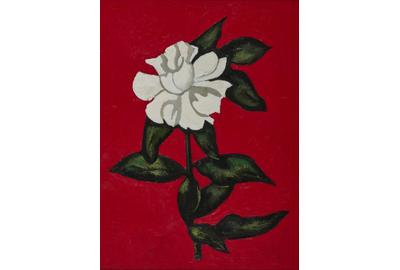 Lot 21.  Marsden Hartley (American, 1877-1943), Wild White Rose, 1936, oil on board, 16 x 12 in.  Estimate: $50,000-80,000