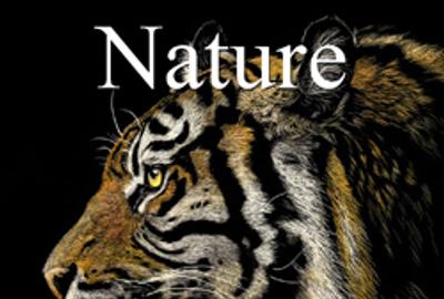 Call for Art - 6th Annual “Nature” Online Art Competition