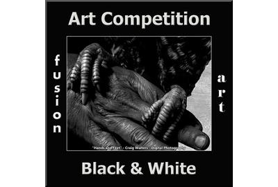 Fusion Art Announces 2nd Annual Black & White Art Competition www.fusionartps.com