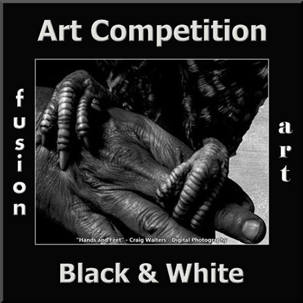 Fusion Art Announces 2nd Annual Black & White Art Competition www.fusionartps.com