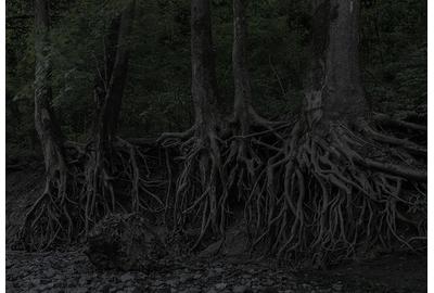 Jeanine Michna-Bales, Eagle Hollow from Hunter’s Bottom.  Just across the Ohio River, Indiana, 2014