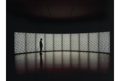 Catherine Wagner, "Pomegranate Wall," 2000; Ten light boxes with printed duratrans, fluorescent lights, metal frame; 96 x 480 inches; Collection of the San José Museum of Art.  Acquired from the artist upon the completion of the San José Museum of Art Artist Residency Fellowship, awarded to the artist in 1997; 2001.40.