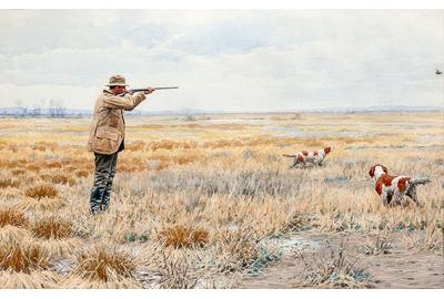 Arthur Burdett Frost (1851-1928), English Snipe, 1895, watercolor and gouache, 14 by 21 ½ inches, Estimate: $40/60,000