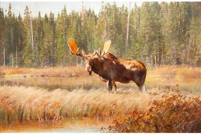 Carl Clemens Moritz Rungius (1869-1959) Bull Moose, oil on canvas, 23 1/4 by 35 1/2 inches, Estimate: $150,000-$250,000