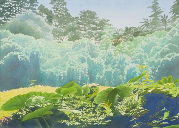 "Manoa Rainforest XXVII: Smother Me Softly", 1999.  Watercolor, 29 x 41 inches.