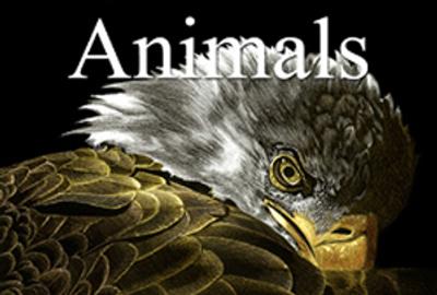 7th Annual "Animals" Online Art Competition