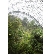 Alberto Giuliani, Eden Project Biospheres, Cornwall, UK, 2017.  Courtesy of the artist