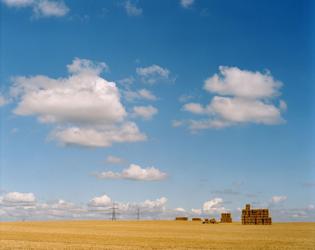 Photograph by Alasdair McLellan,Tickhill Road, 2014.  