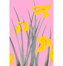 Alex Katz, Yellow Flags 3, 2020, Archival pigment inks on Crane Museo Max 365 gsm paper.  Edition of 150, Signed, numbered and dated in pencil, 33 x 22 in.