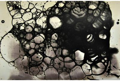 Anabela Maravilhas, Virus Eye, Photograph on Fine Art Paper, 16" x 24"