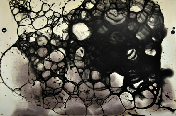 Anabela Maravilhas, Virus Eye, Photograph on Fine Art Paper, 16" x 24"