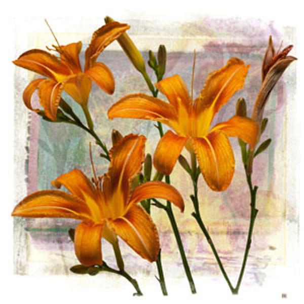 ArtSynergies: TRANSFERMATIONS, Mixed Media Digital Printmaking, Roadside Lily, Barbara Doyle, Cotuit Center for the Arts.  