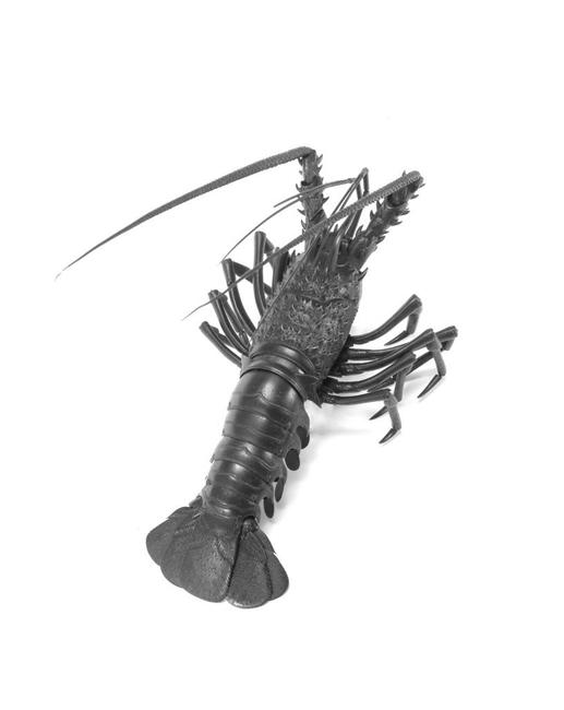 Iron model of a spiny lobster, made by an unknown artisan.  Estimated at £30,000-40,000.