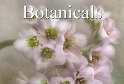 Botanical & Floral Online Art Competition 