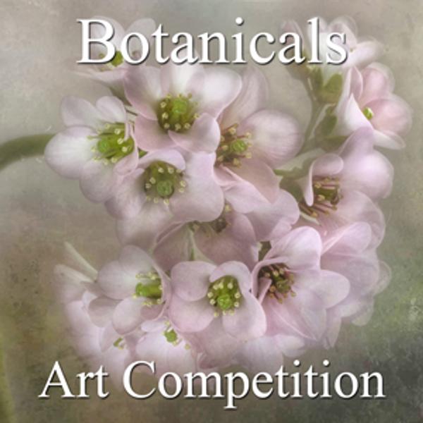 Botanical & Floral Online Art Competition 