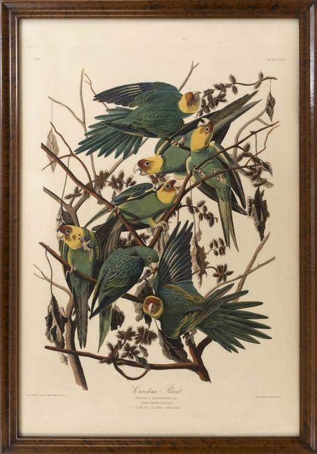 Audubon elephant folio "Carolina Parrot", estimated at $65,000/85,000