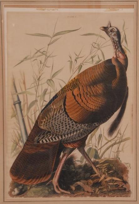 This print by John James Audubon from the 1820s or '30s, sold for $36,000.