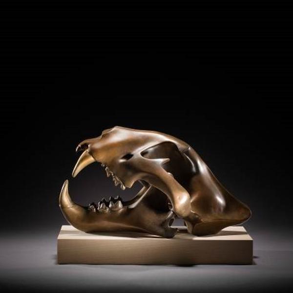 Simon, Gudgeon, Tiger Skull – Bronze, limited edition of 9, 25 x 34 x 25cm, £9,500