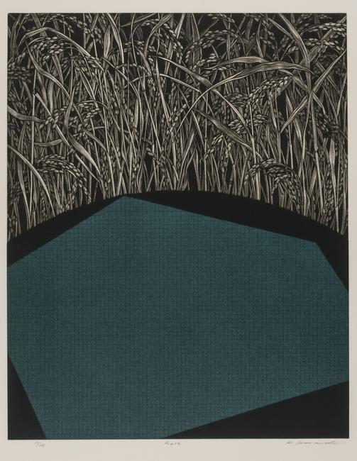 HAMANISHI Katsunori , Field, 1997, Mezzotint; ink and color on paper, edition 10/25, Gift of the Jack and Susy Wadsworth Collection of Japanese Prints, 2012:7.23