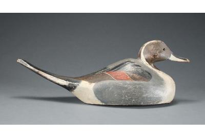 Rare “humpback” model pintail drake circa 1920’s is expected to bring over $75,000