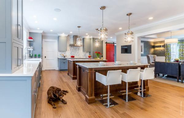 CotY Award Winning Kitchen Renovation in Newton Centre.