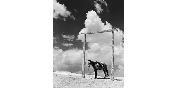 Barry M.  Goldwater, Navajo Pony, 1938.