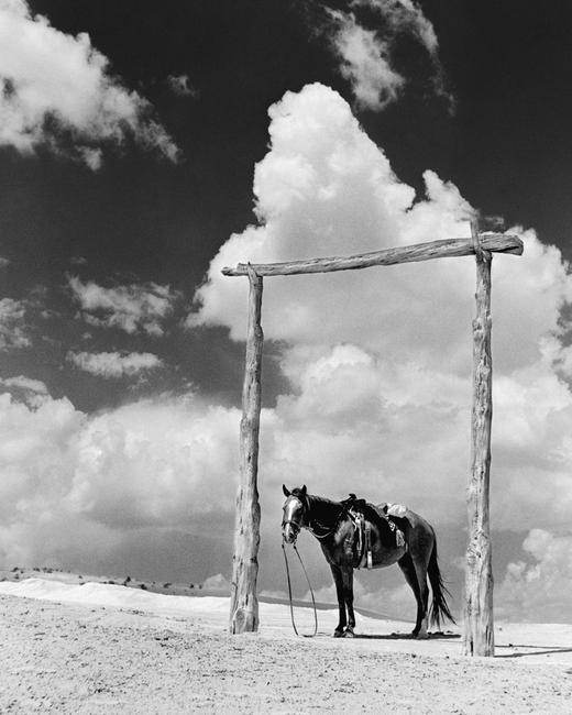 Barry M.  Goldwater, Navajo Pony, 1938.