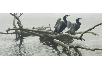 Robert Bateman (1930- ), Great Cormorants, acrylic on canvas, 26x60.jpg