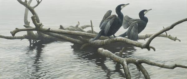 Robert Bateman (1930- ), Great Cormorants, acrylic on canvas, 26x60.jpg