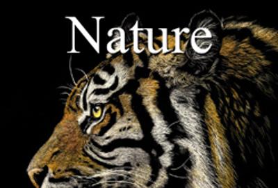 5th Annual "Nature" Online Art Exhibition 