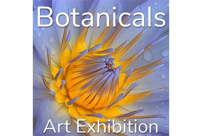 10th Annual "Botanicals" Online Art Exhibition www.lightspacetime.art