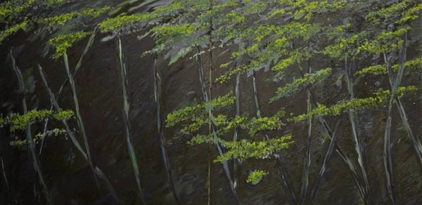 Caspar Baum, Night in the Botanical Garden, Oil on Canvas, 36'' x 72''